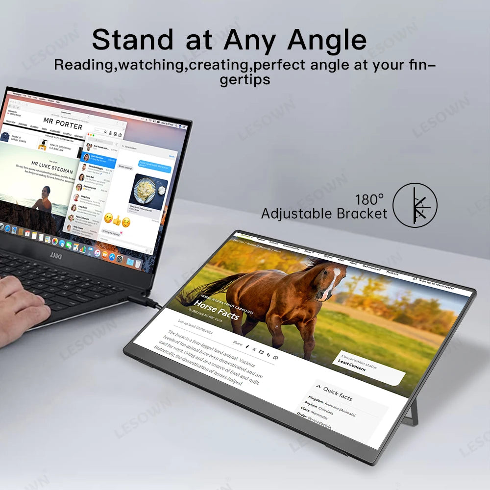 LESOWN 11.6 14 16 inch 4K Portable Monitor 2.5K 120Hz Wide Screen USB-C Display with Holder for Laptop Phone Xbox PS4 PS5 Switch