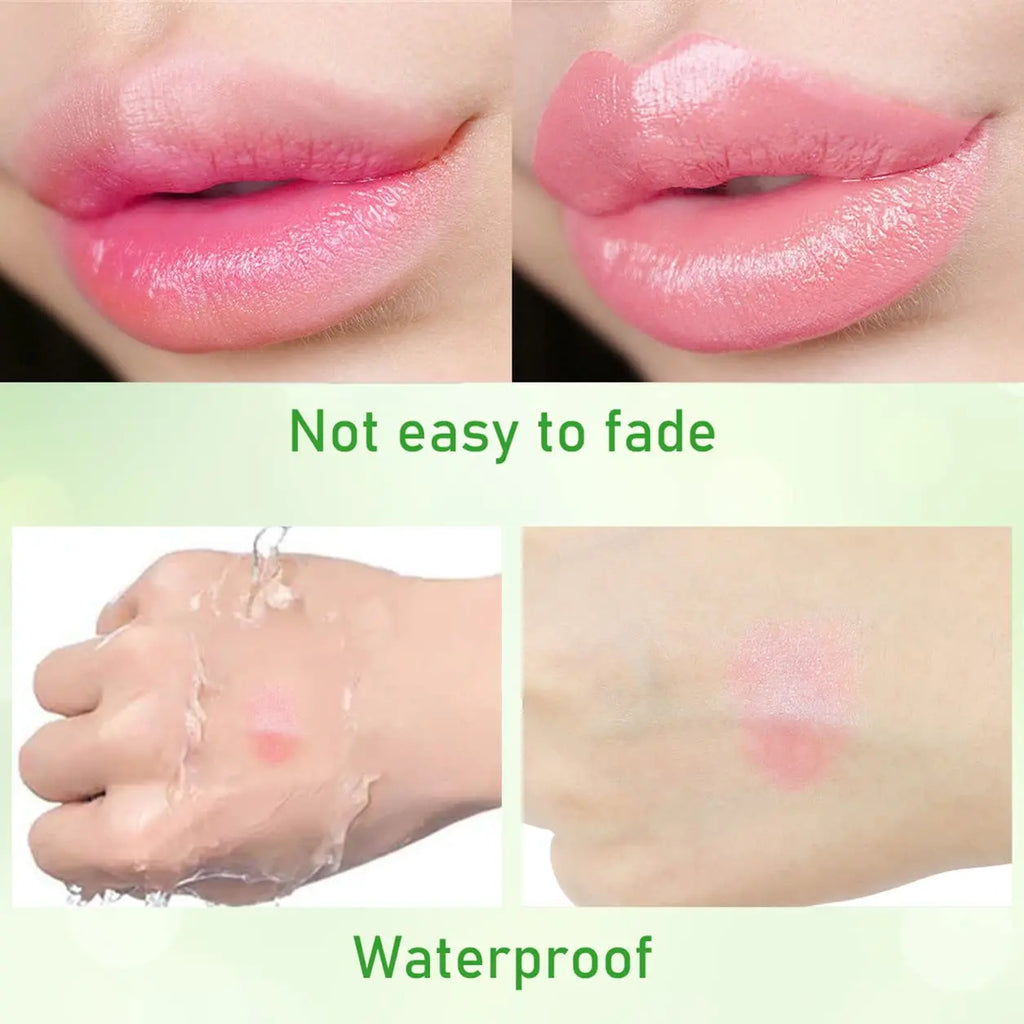 2pcs Aloe Vera Lipstick,Long Lasting Lip Care Nutritious Plumper Lip Balm,Moisturizer Color Changing Jelly Lip Gloss Makeup