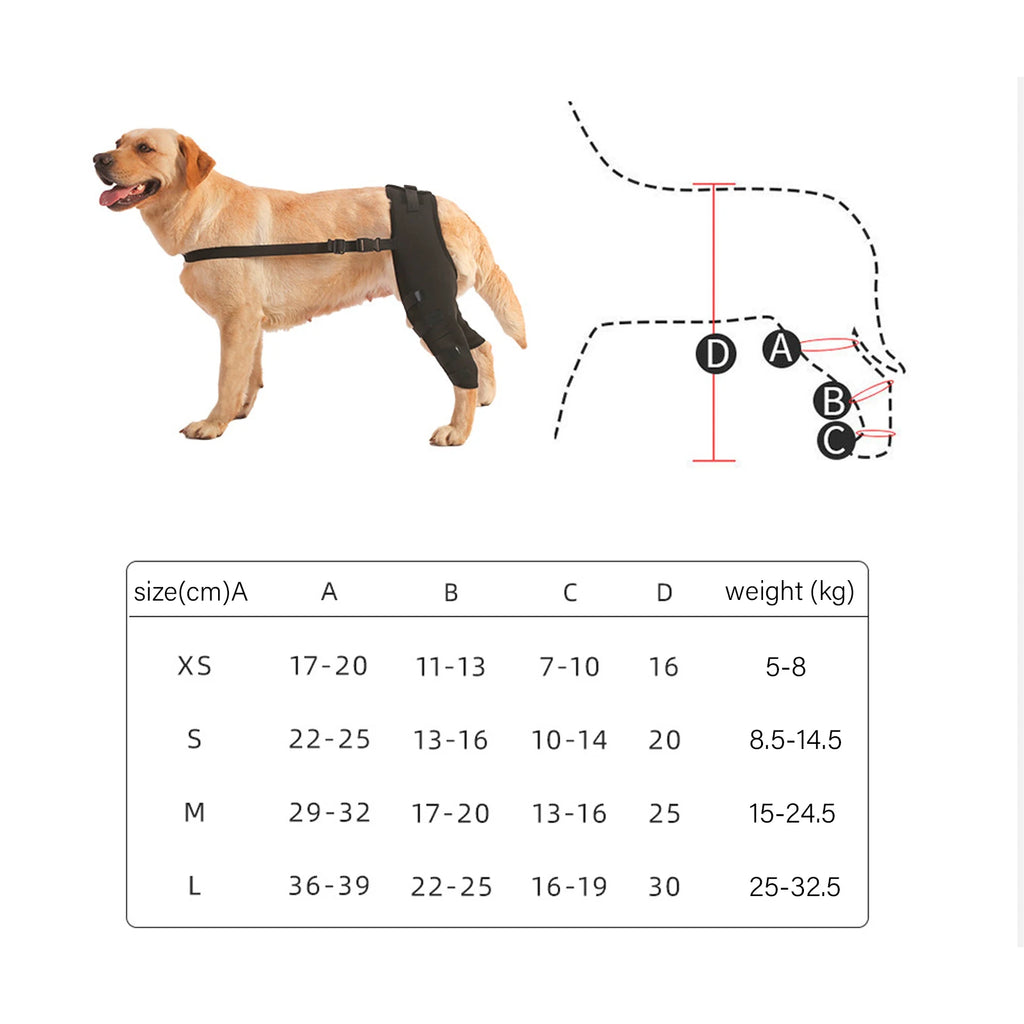 Pet Dog Hind Legs Protector Adjustable Knee Brace Leg Support for Dogs Hind Legs Recover Adjustable Pet Knee Pads Dog Knee Brace