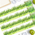 3.5*200cm PET Grass Plant Landscaping Tapes Stickers Scrapbooking Hand Account Adhesive Hand Made Diy Junk Journal Craft Supplie